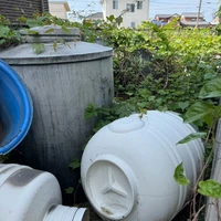 画像363