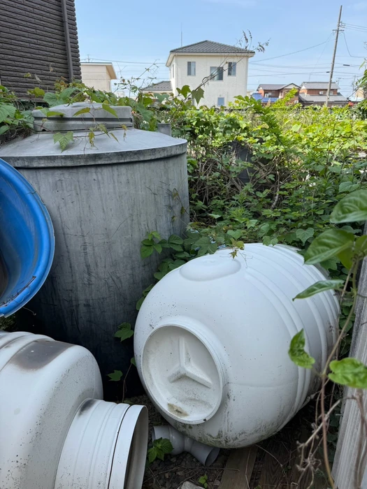 画像363